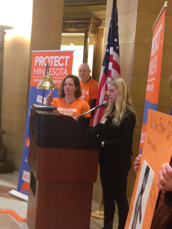Protect Minnesota Day at the Capitol