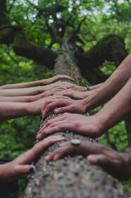 hands on a tree limb
