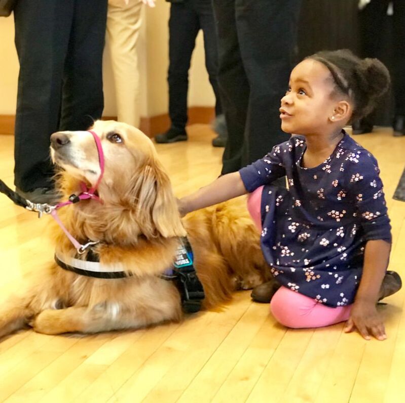 child and emotional support dog